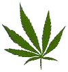 Pot leaf