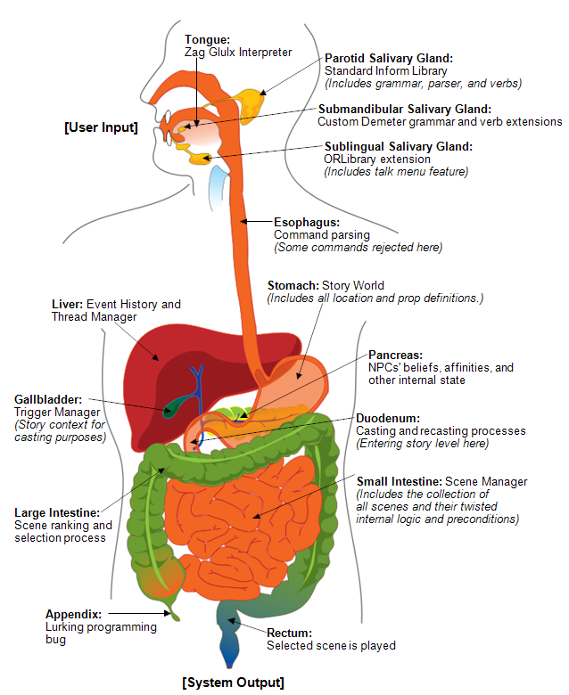 A diagram of the human digestive system with each organ labelled as if it were a component of the Marlinspike architecture.
